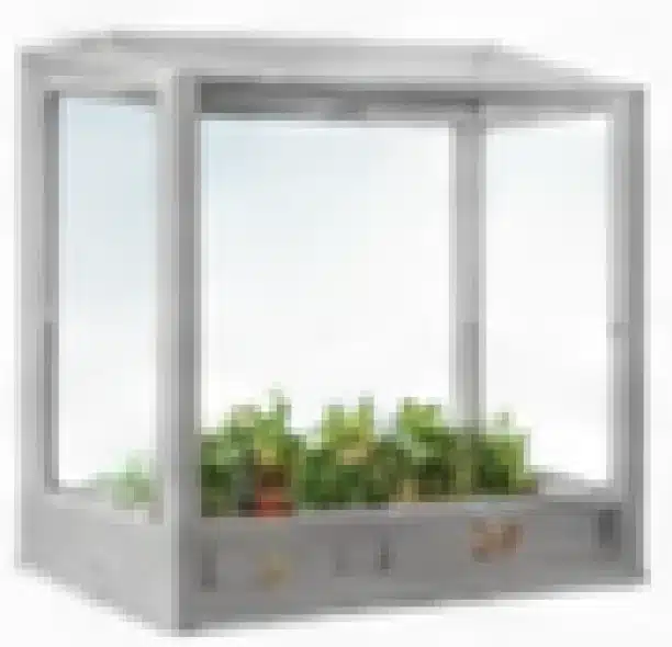 garden_windows_thumb